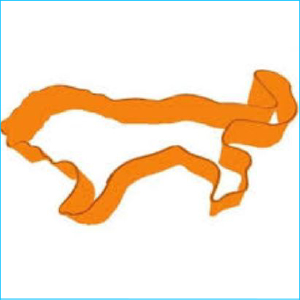 Cookie Cutter Lion 5" Orange